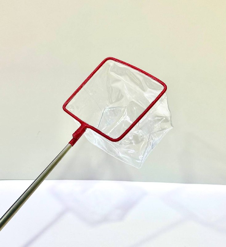 best net for betta fish Betta Scoop Net – NanaBettaSG